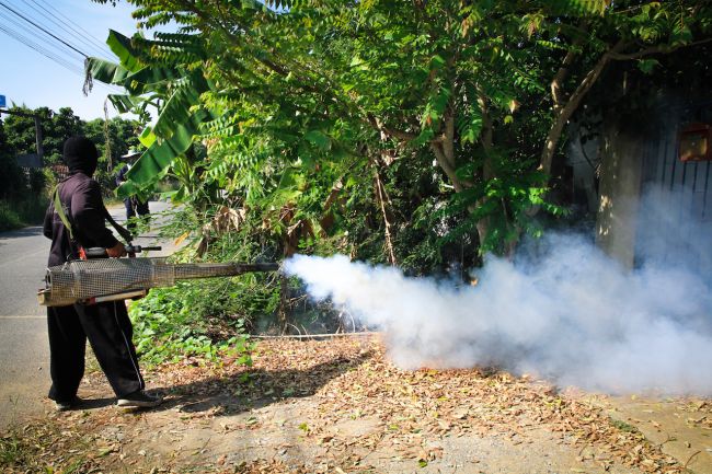 فردی در حال سمپاشی برای از بین بردن پشه های ناقل زیکا - بدترین بیماری های همه گیر در تاریخ معاصر