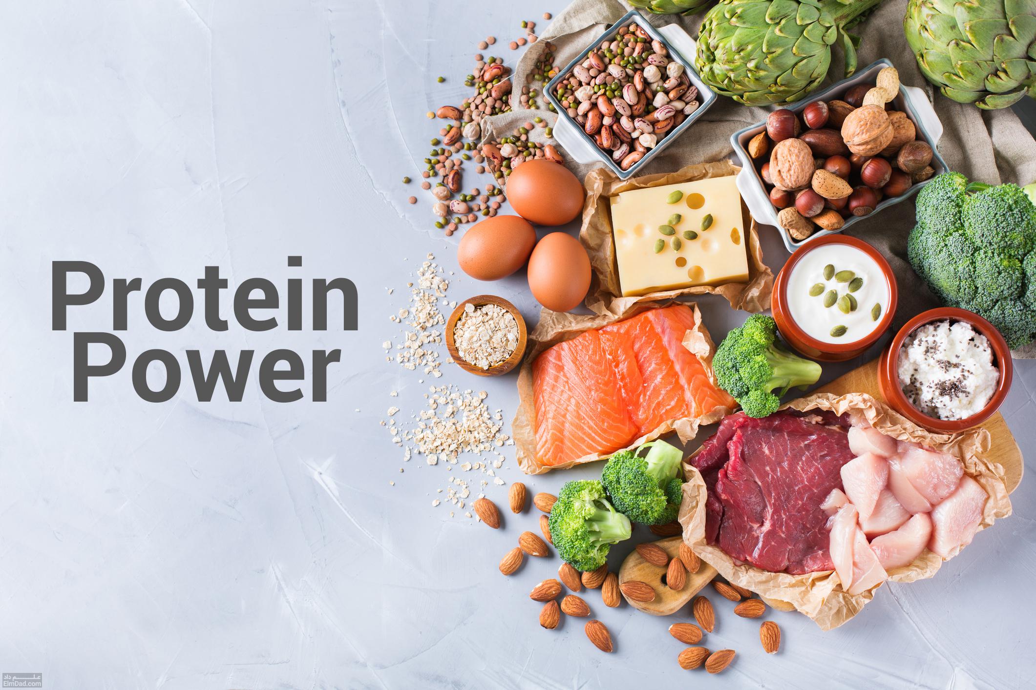 منابع شرشار از پروتئین