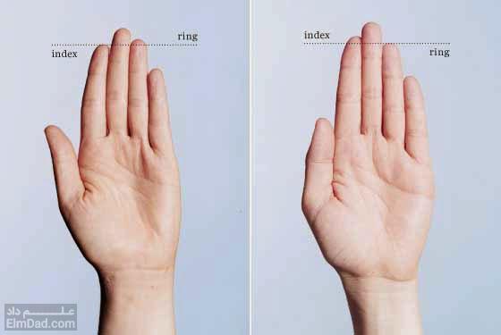 آشنایی با نسبت انگشت دوم به انگشت چهارم